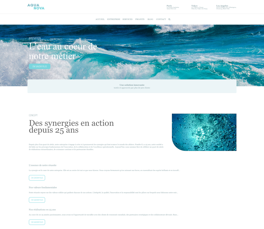 exemple site non accessible